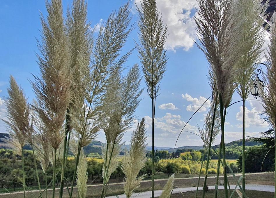 Apartament Domaine Lapeze Montcuq Zewnętrze zdjęcie